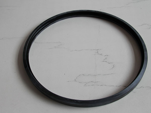 Grooved flange sealing ring图片7